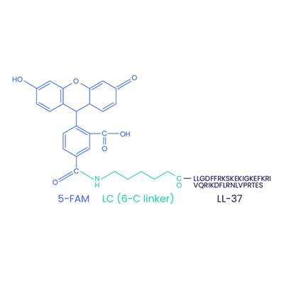 5 -FAM-LL-37 (scrambled) CAS 2022972-73-0